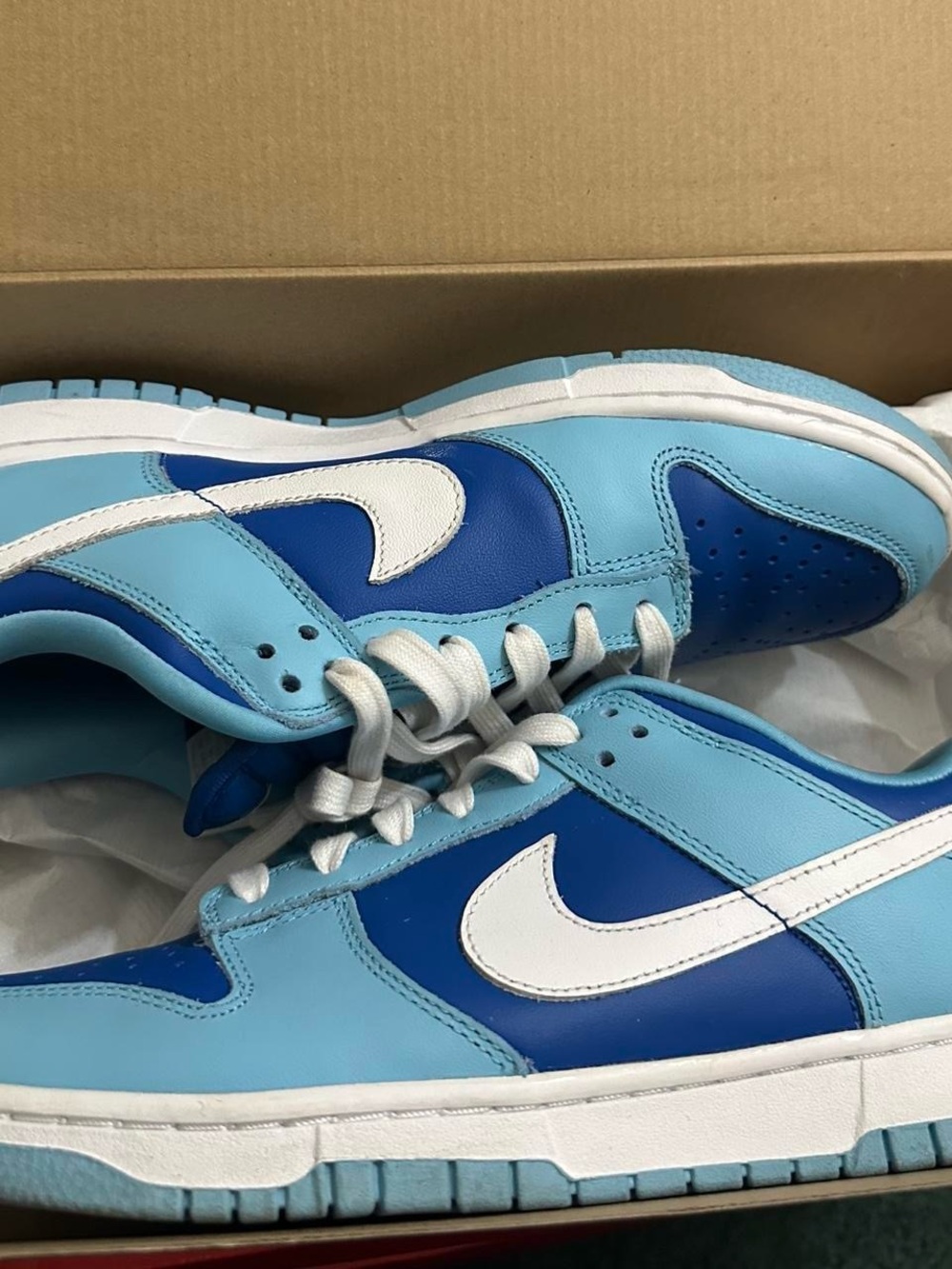 Nike Dunk Low Light Blue & Royal Blue with White Swoosh